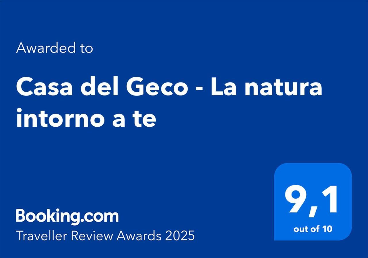Casa Del Geco - La Natura Intorno A Te 카마이오레 외부 사진